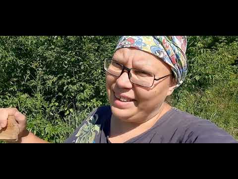 Видео: Навожу порядок в дебрях. Начались продажи. Загоняют меня домой.