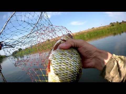 Видео: Голавль плотва щука рыбалка на Днепре