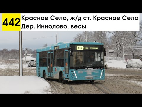 Видео: Автобус 442 "Красное Село, ж/д ст. "Красное Село" - дер. Иннолово, весы" (маршрут закрыт)