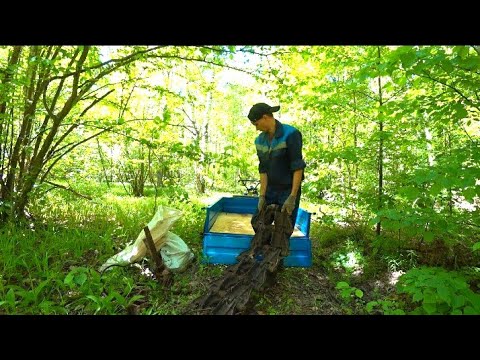 Видео: Пришлось попотеть... Таскаю к дороге разбросаный по лесу металлолом. Коп металла в делянках
