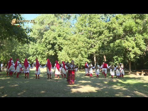 Видео: Стойка Германова – Китка Димитрия