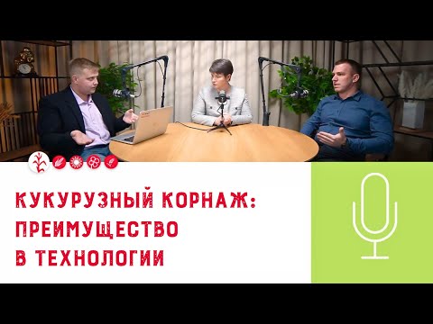 Видео: 🌽Подкаст «Кукурузный корнаж: преимущество в технологии»