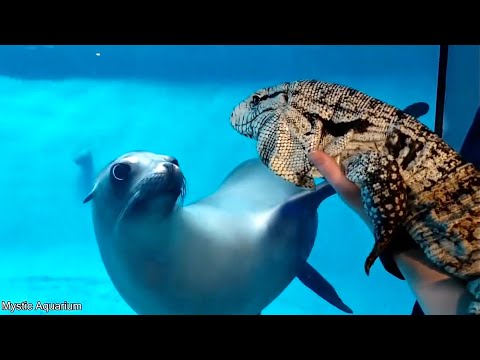 Видео: Ровно 20 минут вашей ежедневной дозы Интернета