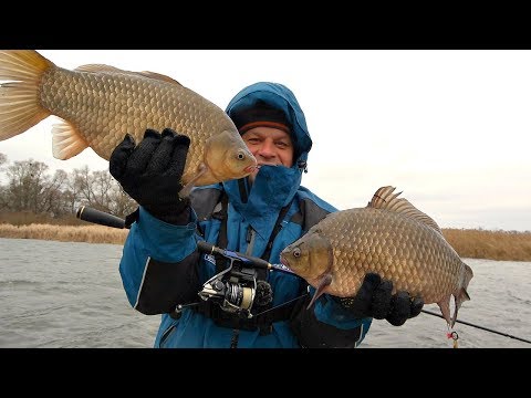 Видео: Клюют КАРАСИ МОНСТРЫ по 3 кг! Ловля карася на грушки!