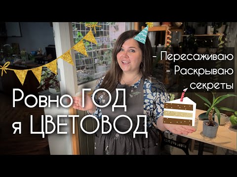 Видео: Пересадка | Откровенно про ГОД ЦВЕТОЧНОГО ХОББИ | Алоказии, антуриумы, бегонии