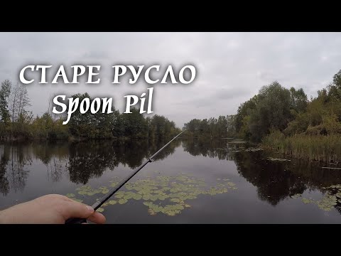 Видео: Старе РУСЛО/ Shostka spoon PIL Щука її ЖРЕ!