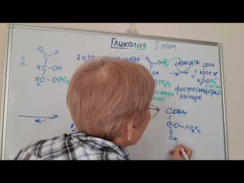 Видео: 2 этап гликолиза