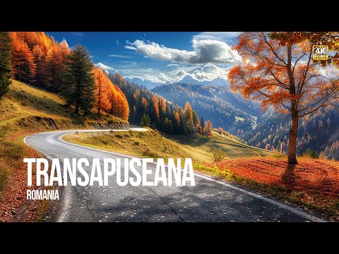 Видео: Удивительное хроматическое шоу в западных Карпатах Румынии.