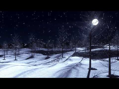 Видео: Звук падающего снега, вой волка в ночном лесу  The sound of falling snow, the howl of a wolf.