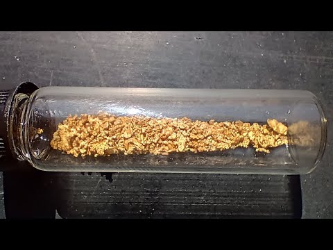 Видео: Золото  1.7 грамм Gold Prospecting