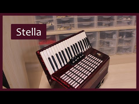 Видео: Трудовые будни / Ремонт Аккордеона "Weltmeister stella 7/8"