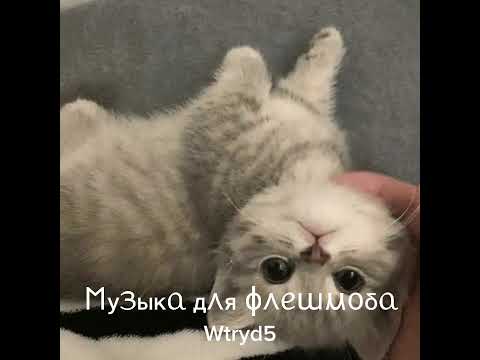 Видео: 🙇🏼‍♀️💋Музыка для флешмоба🐾🙇🏼‍♀️