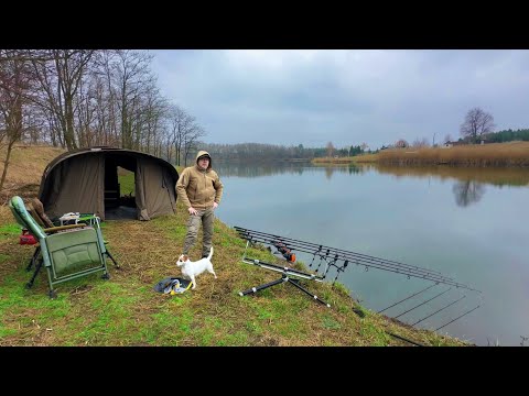 Видео: ВІДКРИТТЯ КОРОПОВОГО СЕЗОНУ В БЕРЕЗНІ 2024. Як та де ловити коропа весною