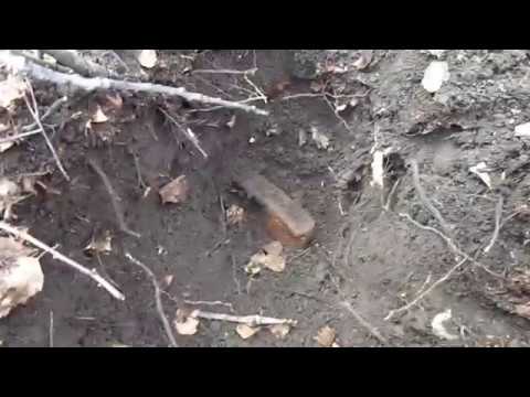 Видео: Mеталлокоп. Удачный коп в лесу с ar 944 m, не пришлось далеко ехать