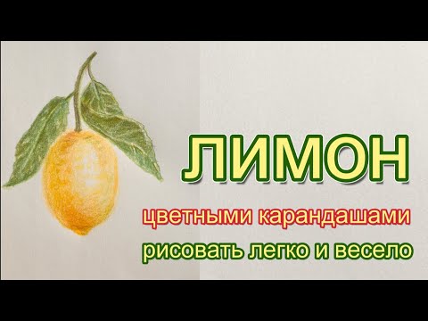 Видео: Лимон на ветке с листьями. Как нарисовать цветными карандашами.