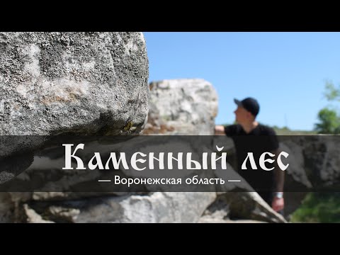 Видео: Воронежская область | Каменный лес | Немецкое захоронение ВОВ | Заброшенный ДК