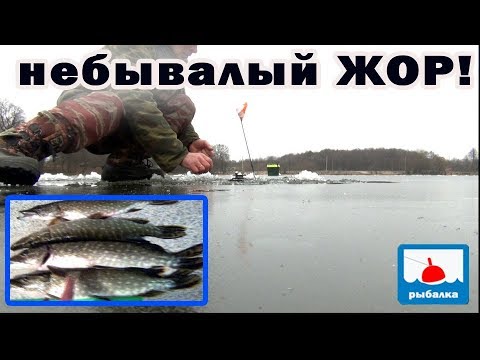 Видео: Небывалый жор щуки! Рыбалка на жерлицы и мормышку