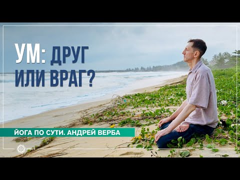 Видео: Ум: друг или враг?