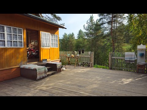 Видео: Карелия. Медвежьегорск. Место съёмок фильма Любовь и голуби