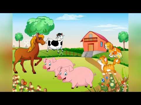 Видео: логіко-математичний розвиток «Порівняння різних множин. Ширина»