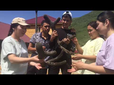 Видео: сауртау зайсан