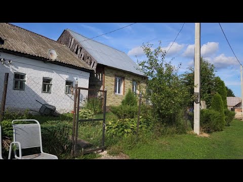 Видео: 🦫 16.08.2024 13:45 пятница. В деревню Павлово по дороге к Голубому факелу. Ни собак, ни интернета. 🌬