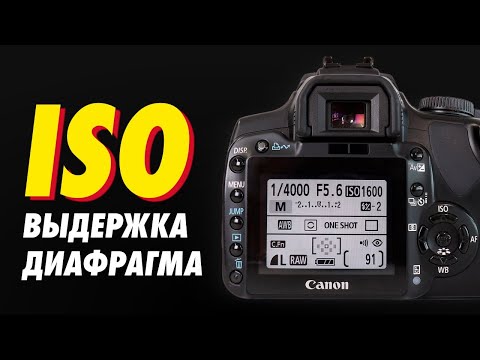 Видео: Легко и понятно ИСО / ВЫДЕРЖКА / ДИАФРАГМА