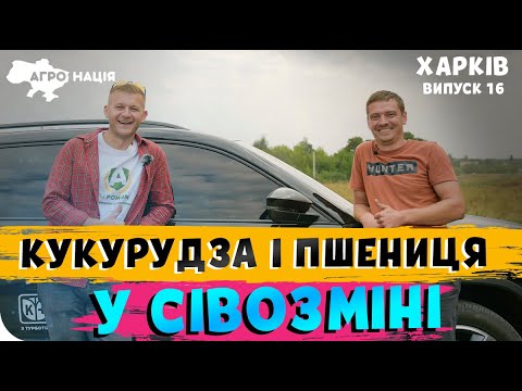 Видео: ВИРОЩУВАННЯ КУКУРУДЗИ БЕЗ ОБРОБІТКУ ГРУНТУ. 🌽 АГРО НАЦІЯ | 16 СЕРІЯ