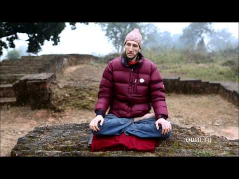 Видео: Йога по-взрослому. Семейные взаимоотношения. Андрей Верба