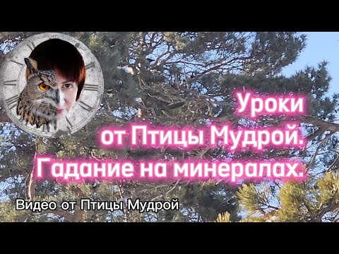 Видео: Как гадать на камнях-минералах. Уроки гадания от Птицы Мудрой