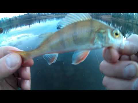 Видео: Офигенный улов на нано джиг-риг.ДоОбзор спиннинг KAIDA COMMAND и немножко о человеческом равнодушии.