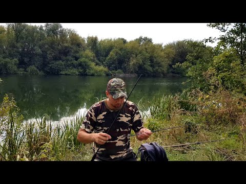 Видео: Сломал спиннинг на рыбалке, пришлось купить новый - Kaida PALADIN