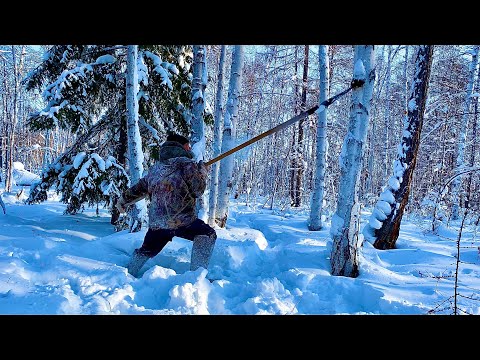 Видео: ЧАГА Таёжные отшельники (30 лет одиночества 62 серия)