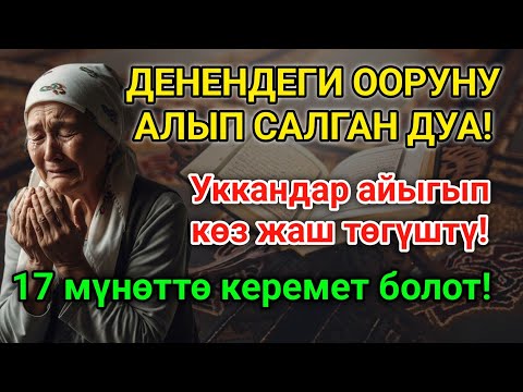Видео: МИҢДЕГЕН АДАМДАР ДАРЫСЫЗ АЙЫГЫП КЕТТИ! Пайгамбардын дубасы керемет кылды! 🤲