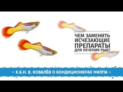 Видео: Чем заменить исчезающие с рынка лекарственные препараты для рыб. Кондиционеры НИЛПА