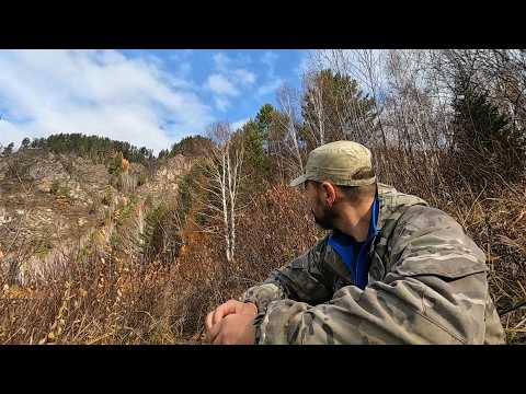 Видео: ПО СТАРОЙ ТРОПЕ. ОХОТА НА РЯБЧИКА. "ПАСЕКА".