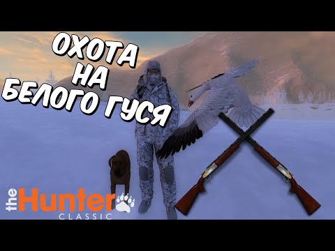 Видео: ОХОТА С  ДВУХСТВОЛЬНОГО РУЖЬЯ BLASER F3 НА БЕЛОГО ГУСЯ В theHunter Classic