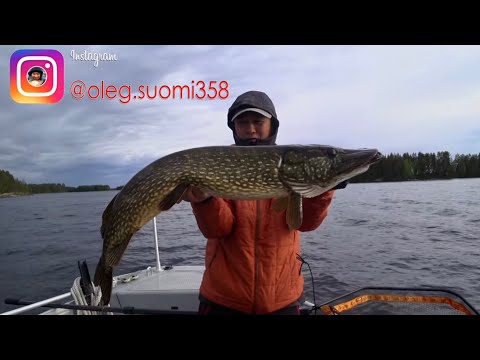 Видео: Kallavesi. Заправка на воде. Рыбалка в Финляндии. XBAITS. Panoptix LiveScope