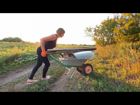 Видео: Питаюся прибратися бо багатьом людям не подобаеться мій двір