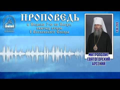 Видео: Проповедь митр. Арсения в Неделю 7-ю по Пасхе, святых отцов I Вселенского Собора 9.6.19 г.