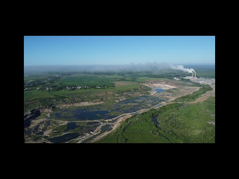 Видео: Михайлов цемент.Ищем аммонитов юрского периода.