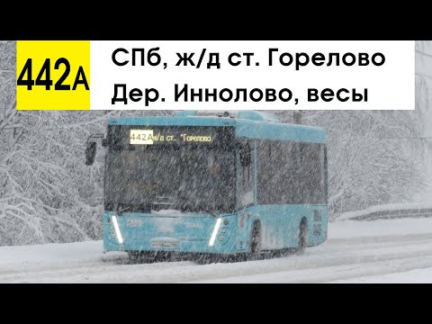 Видео: Автобус 442а "СПб, ж/д ст. "Горелово" - дер. Иннолово, весы" (маршрут закрыт)