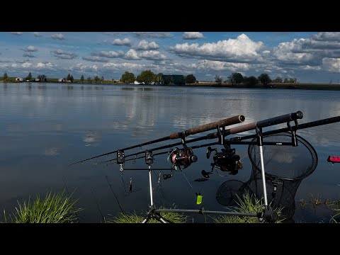 Видео: ❗️CarpFishing на рыболовной базе баскак 🫢❗️ Я в шоке от количества рыбы 🎣 И соседи тоже 🫡
