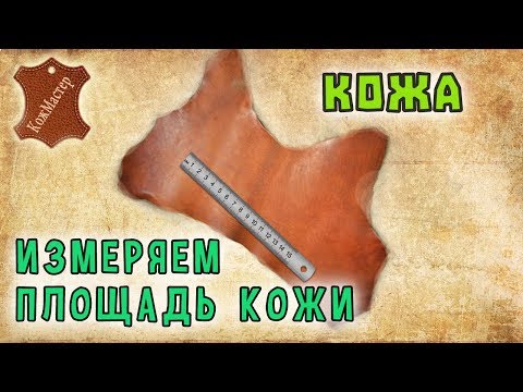 Видео: Как измерить площадь кожи? How to measure the area of the skin?