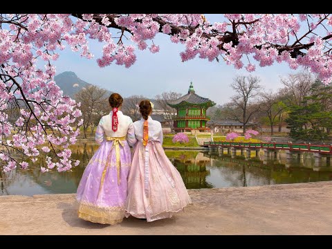 Видео: Виза F4  для этнических корейцев из Казахстана