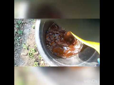 Видео: подкормка клубники с учетом ph и ес, как это делаем мы.