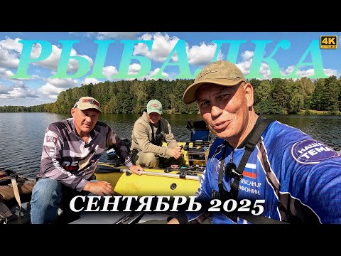 Видео: Лучшая ПРИМАНКА на всю РЫБУ когда нет клёва