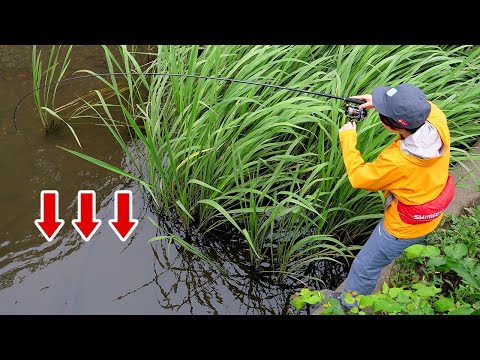 Видео: Поймай много качественных угорь!