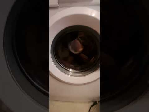 Видео: Вот ешё видео