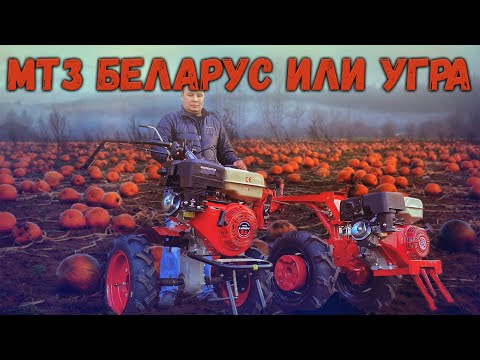 Видео: Мотоблок Беларус или Угра? Все сходства и различия мотоблоков!